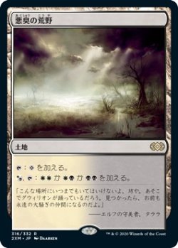 画像1: 【日本語版】悪臭の荒野/Fetid Heath