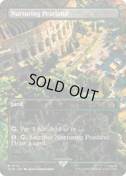 画像1: 『ボーダーレス』『英語版』育成泥炭地/Nurturing Peatland