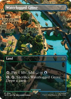 画像1: 『ボーダーレス』『英語版』冠水樹林帯/Waterlogged Grove