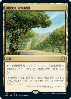 画像1: 【日本語版】風変わりな果樹園/Exotic Orchard