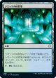 【日本語版】シミックの成長室/Simic Growth Chamber