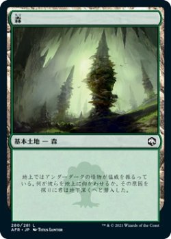画像1: 【Foil】【日本語版】森/Forest