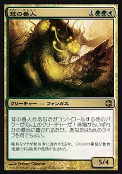 画像1: 『英語版』茸の番人/Mycoid Shepherd