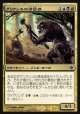 【日本語版】グリクシスの滞留者/Grixis Sojourners