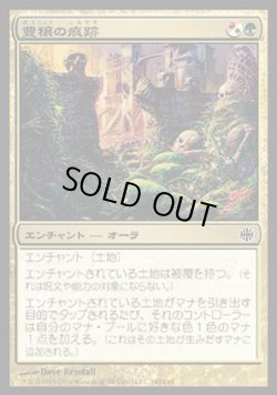 画像1: 【日本語版】豊穣の痕跡/Trace of Abundance