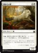 【日本語版】銀筋毛の狐/Silverchase Fox