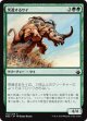 【日本語版】突進するサイ/Charging Rhino