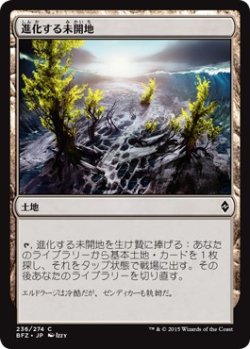 画像1: 【日本語版】進化する未開地/Evolving Wilds