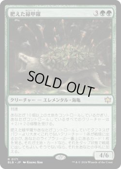 画像1: 【Foil】【日本語版】肥えた緑甲羅/Fecund Greenshell