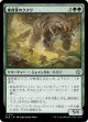 【日本語版】巣背骨のクズリ/Hivespine Wolverine