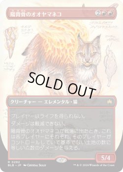 画像1: 【ボーダーレス】【日本語版】陽背骨のオオヤマネコ/Sunspine Lynx