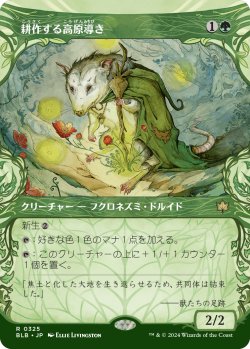 画像1: 【Foil】【ショーケース】【日本語版】耕作する高原導き/Tender Wildguide