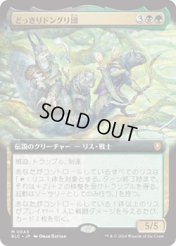 画像1: 【Foil】【拡張枠】【日本語版】どっきりドングリ団/The Odd Acorn Gang