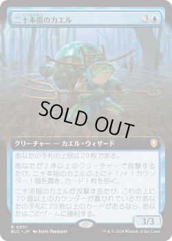 画像1: 【日本語版】【拡張枠】二十本指のカエル/Twenty-Toed Toad