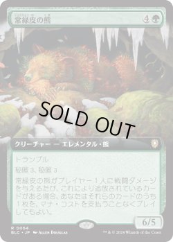 画像1: 【日本語版】【拡張枠】常緑皮の熊/Evercoat Ursine