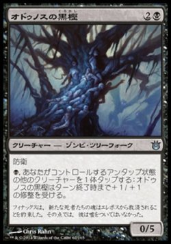 画像1: 【日本語版】オドゥノスの黒樫/Black Oak of Odunos