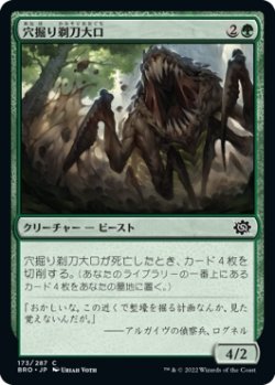 画像1: 【日本語版】穴掘り剃刀大口/Burrowing Razormaw