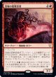 【日本語版】流城の密教信者/Stromkirk Occultist