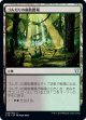 【日本語版】ゴルガリの腐敗農場/Golgari Rot Farm