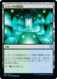 【日本語版】シミックの成長室/Simic Growth Chamber