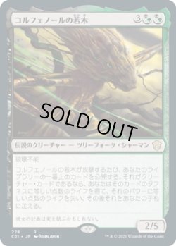 画像1: 【日本語版】コルフェノールの若木/Sapling of Colfenor
