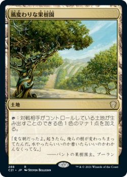 画像1: 【日本語版】風変わりな果樹園/Exotic Orchard