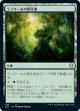 【日本語版】ラノワールの再生地/Llanowar Reborn