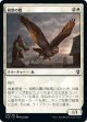 【日本語版】偵察の鷹/Scouting Hawk