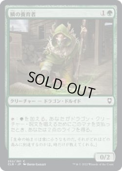 画像1: 【日本語版】鱗の養育者/Scaled Nurturer