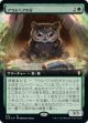 【拡張枠】【日本語版】アウルベアの仔 /Owlbear Cub
