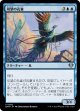 【日本語版】切望の孔雀/Coveted Peacock