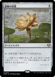 【日本語版】金粉の水蓮/Gilded Lotus
