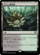 【日本語版】下生えの競技場/Undergrowth Stadium