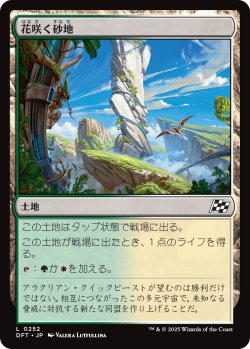 画像1: 【日本語版】花咲く砂地/Blossoming Sands