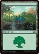 【Foil】【日本語版】森/Forest