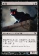 【日本語版】黒猫/Black Cat
