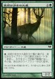 【日本語版】夜明け歩きの大鹿/Dawntreader Elk
