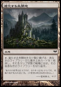 画像1: 【日本語版】進化する未開地/Evolving Wilds