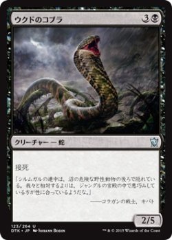 画像1: 【日本語版】ウクドのコブラ/Ukud Cobra