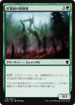 画像1: 【日本語版】針葉樹の徘徊者/Conifer Strider