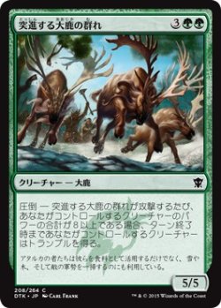 画像1: 【日本語版】突進する大鹿の群れ/Stampeding Elk Herd