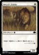 【日本語版】サバンナ・ライオン/Savannah Lions