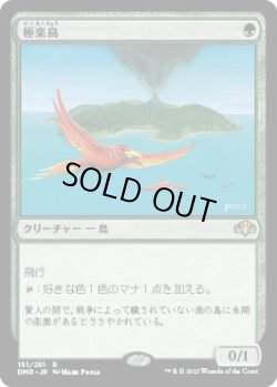 画像1: 【日本語版】極楽鳥/Birds of Paradise