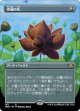 【Foil】【ボーダーレス】【日本語版】水蓮の花/Lotus Blossom
