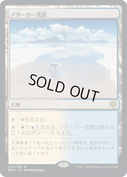 画像1: 【日本語版】アダーカー荒原/Adarkar Wastes