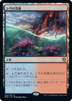 画像1: 【Foil】【日本語】シヴの浅瀬/Shivan Reef