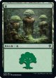 【日本語版】森/Forest