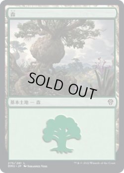 画像1: 【日本語版】森/Forest