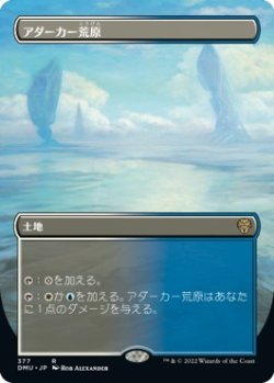 画像1: 【ボーダーレス】【日本語版】アダーカー荒原/Adarkar Wastes