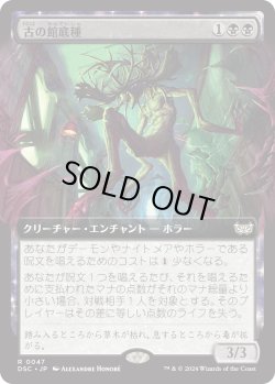 画像1: 【拡張枠】【日本語版】古の館底種/Ancient Cellarspawn